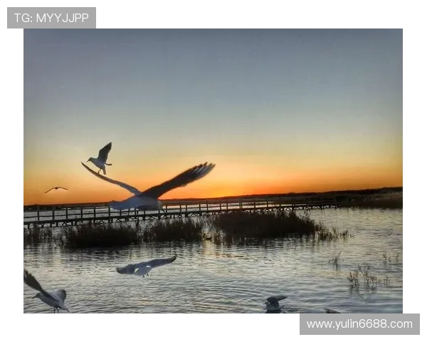 传奇后卫巴雷西的足球生涯与不朽精神解析